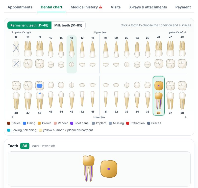 Dental chart
